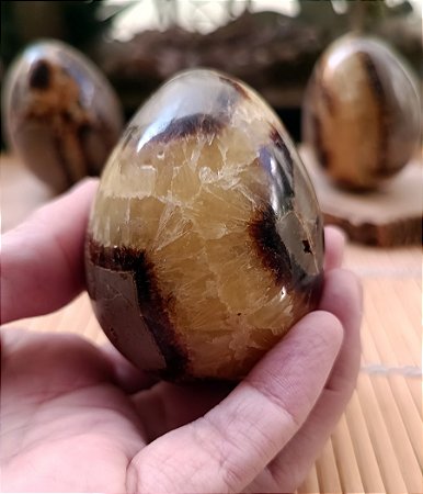 Ovo Septariana