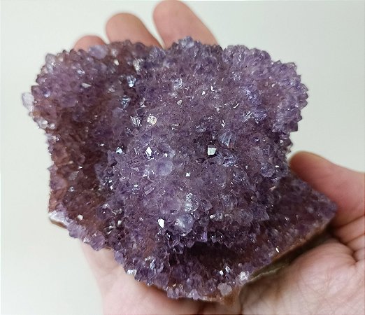 Flor de Ametista do Uruguai