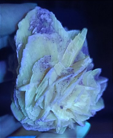Rosa do Deserto - Grande