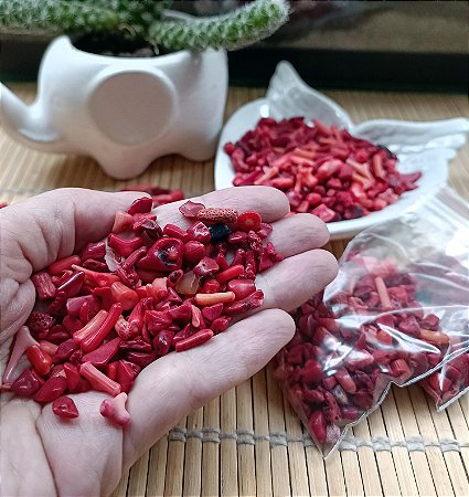 Coral Vermelho