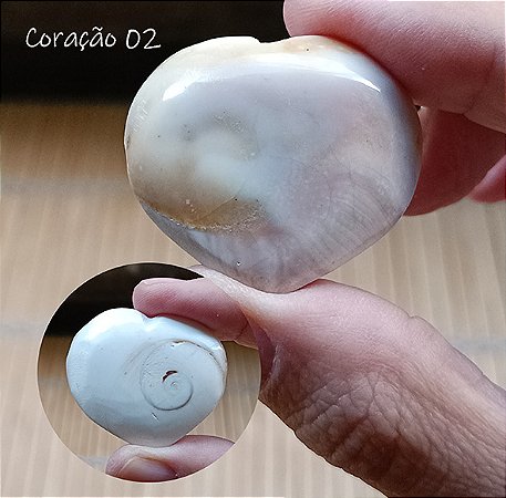 Coração Concha Olho de Shiva