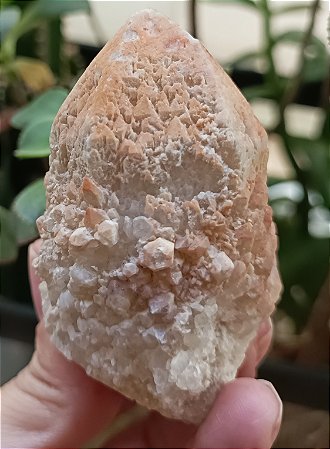Quartzo Vela