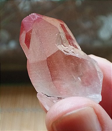Ponta Lemuriano Rosa