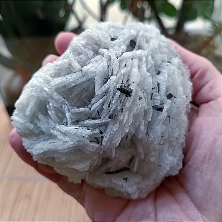 Albita com Turmalina