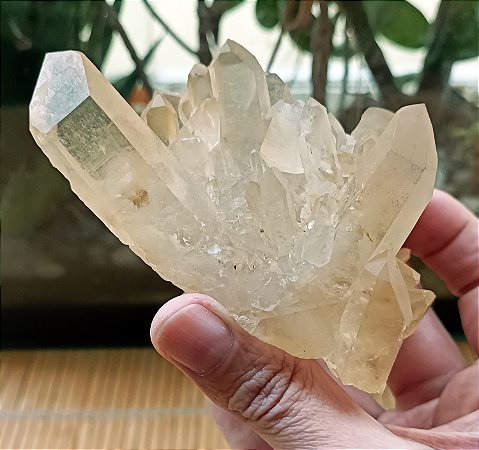 Drusa De Cristal Golden - Healer