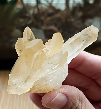 Drusa De Cristal Golden Healer