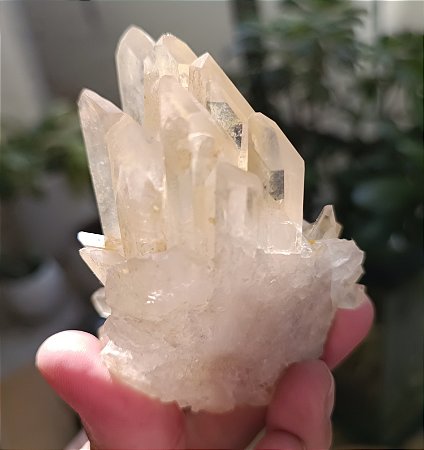 Drusa De Cristal Golden Healer - Hematóide