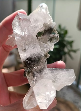 Drusa de Cristal Hialino com inclusão de Clorita 01