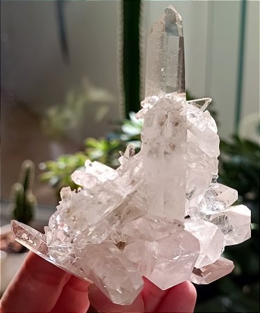 Drusa de Cristal Hialino com inclusão de Clorita 02