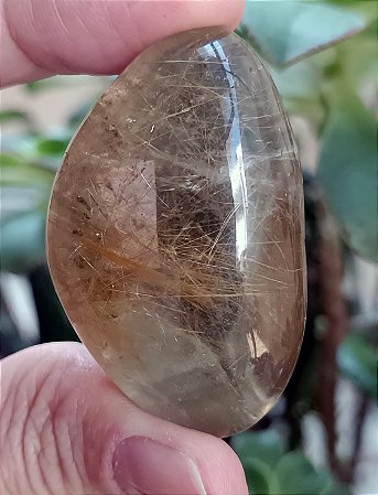 Quartzo com Rutilos - Lapidação Lente