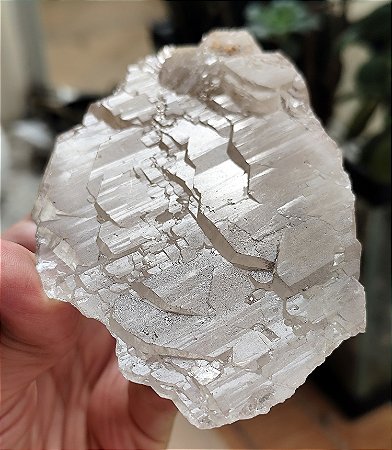 Cristal Mestre Intraterreno com Estrela de Rutilo