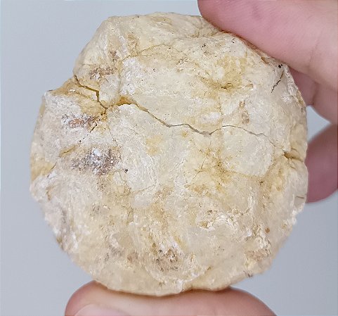 Geodo Marroquino 2