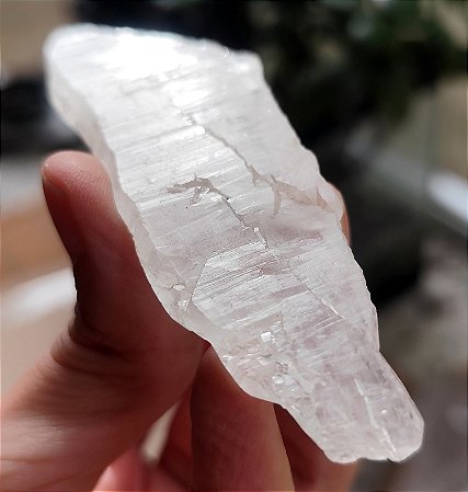 Cristal Mestre Intraterreno 06