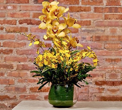Arranjo de orquídeas