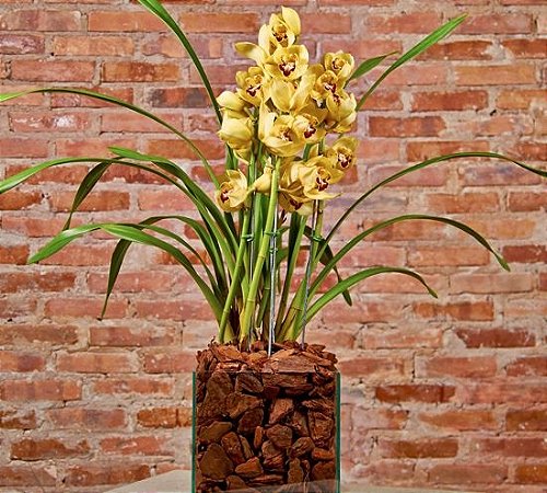 Orquídea Cymbidium amarela em base de vidro
