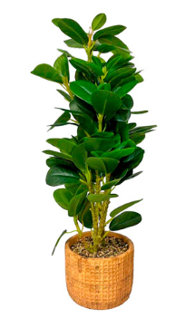 Vaso de Cimento Decorativo com Planta Artificial 12x55cm FREECOM
