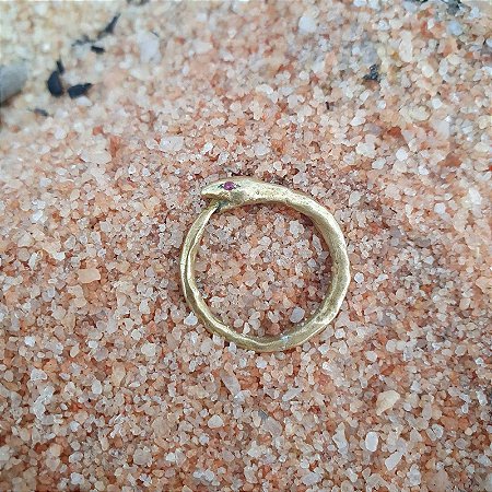 Anel Ouroboros