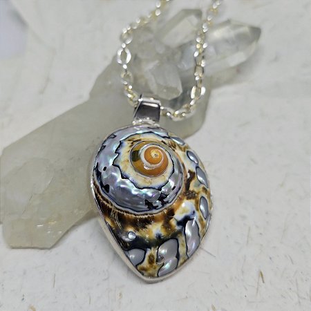 Pingente Amonite
