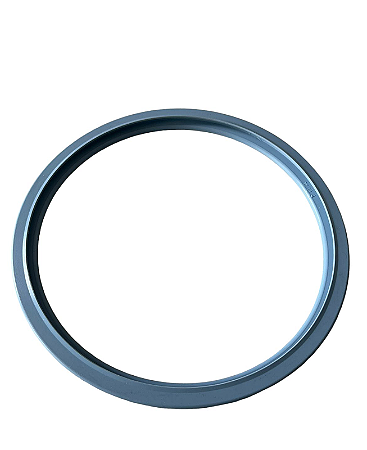 Anel de Vedação da porta autoclave Vitale Class 12 L Cristófoli