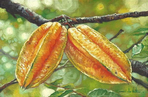 Pintura a Óleo Carambolas