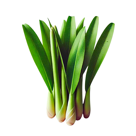 Óleo Essencial de Citronela 1 Litro