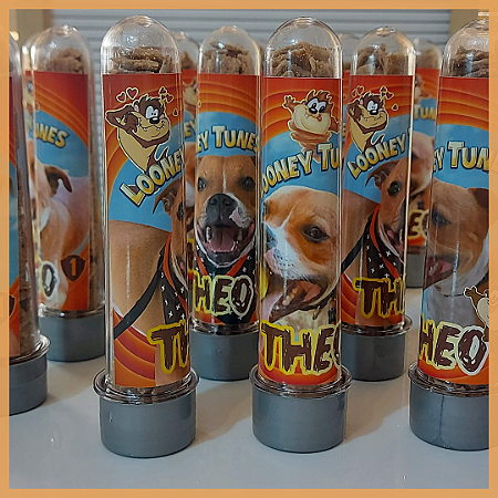 Kit Aniversário Pet 10 Latinhas + 10 Tubetes