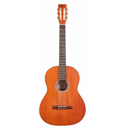 Violão Nylon Acústico Rozini Eco Neo Clássico Mogno Rx206