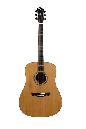 Violão Folk Non-Cutaway Aço Tagima