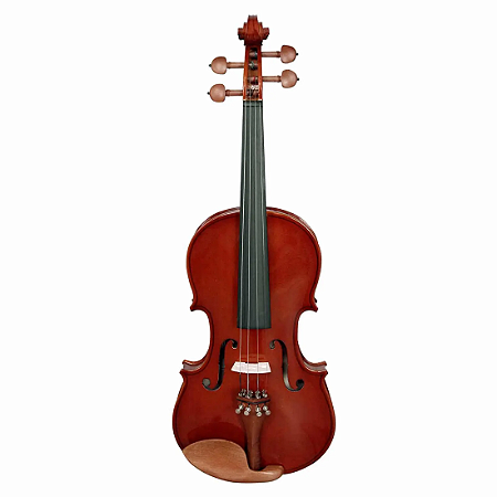 Violino Giannini GVS 4/4 Tampo Maciço Natural Brilhante