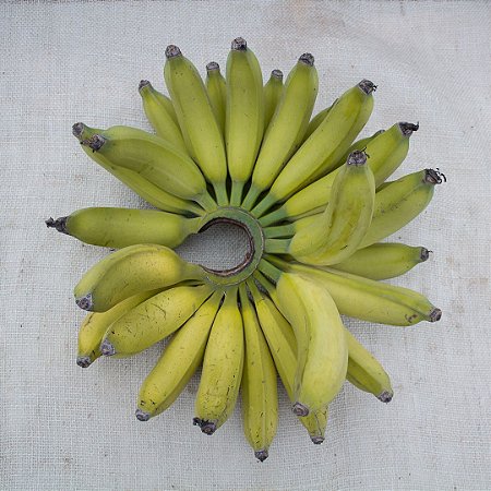Banana Platina Orgânica [500 g]