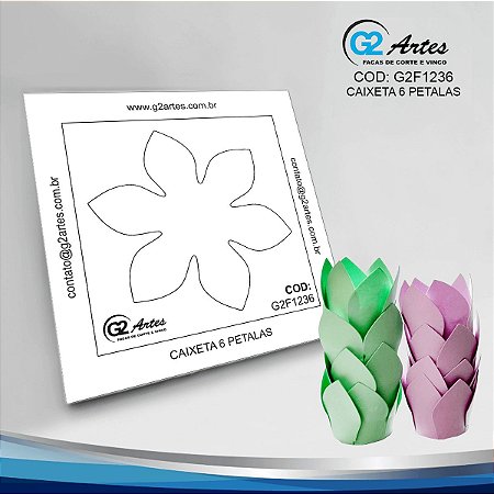 G2F 1236 - Caixeta 6 Petalas
