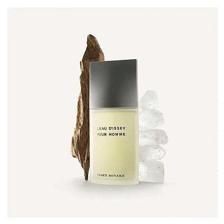 Perfume Masculino Issey Miyake L'eau D'issey EDT - 125ml