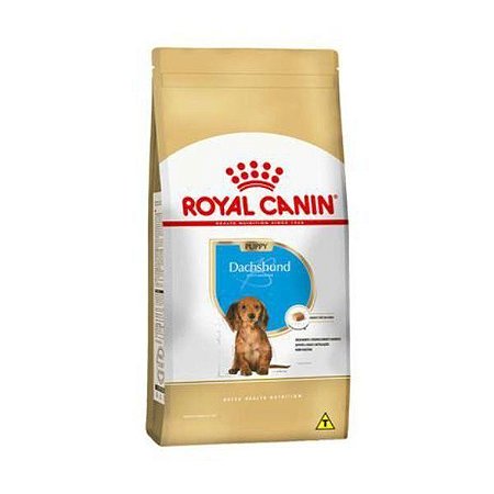 Ração Royal Canin Breed Health Nutrition Dachshund Puppy Para Cães Filhotes - 2.5 Kg