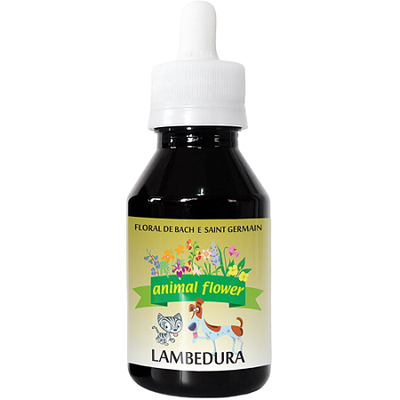 Floral Animal Flower Lambedura