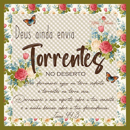 CAIXA FLORIDA -  TORRENTES NO DESERTO