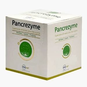 PANCREZYME INOVET 10 SACHES 2,8g