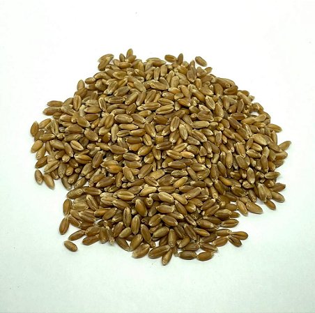 FU XIAO MAI (TRITICI FRUCTUS LEVIS) A GRANEL