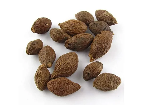 PANG DA HAI (STERCULIAE LYCHNOPHORAE SEMEN) A GRANEL