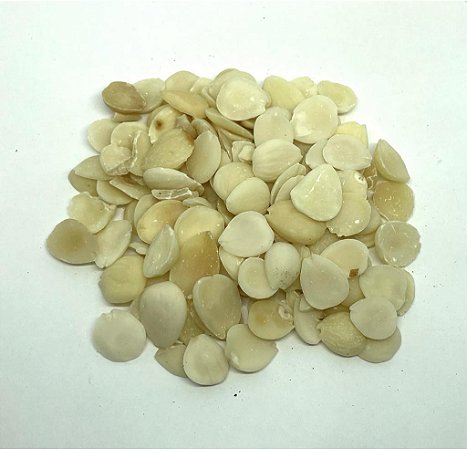 XING REN (ARMENIACAE SEMEN) A GRANEL