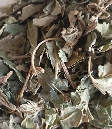 SANG YE (MORI FOLIUM - FOLHA DE AMOREIRA) A GRANEL