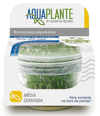 PLANTA AQUAPLANTE RANUNCULUS PAPULENTUS