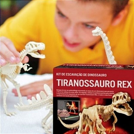 Kit de Escavação de Esqueleto - Tiranossauro Rex - Baruk Batuk