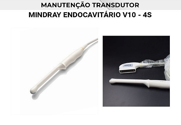 Transdutor Mindray Endocavitario V10 4s