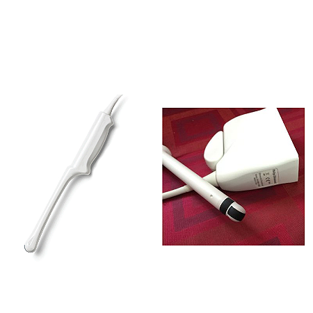 Conector Transdutor Philips Endocavitario Bp10 5ec