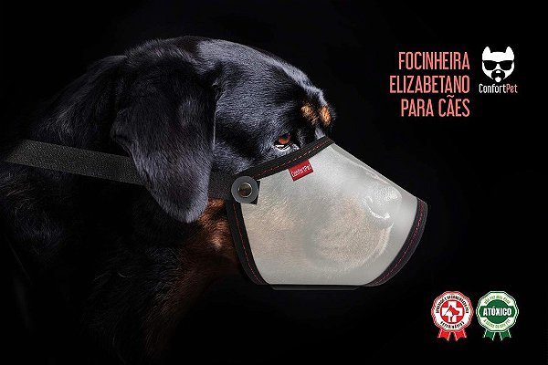 Focinheiras Elizabetano Cães