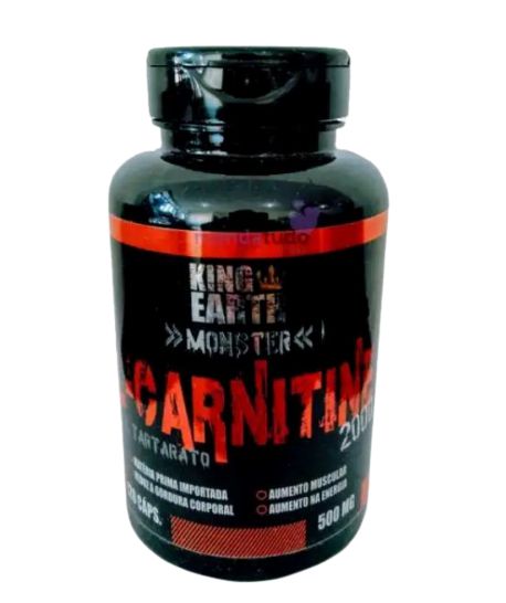 L-Carnitine 500 mg 120 caps - Rei Terra