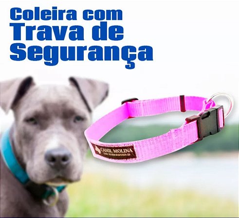 Coleira para Cães Com Trava de Segurança