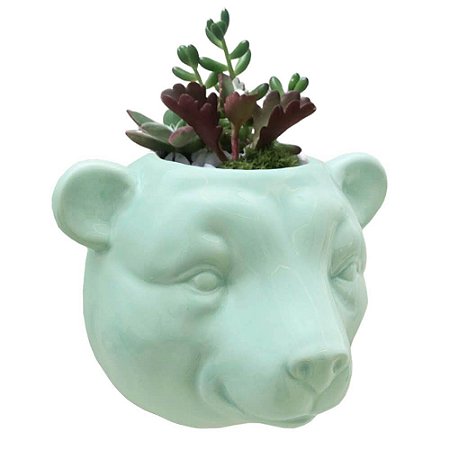 Vaso de Parede Cachepot Urso Verde Cerâmica
