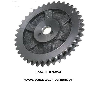 Engrenagem de Acionamento da Bomba de Óleo do Motor Laika (Usada) Ref. 0152