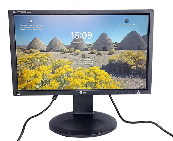 Monitor LG 20” Polegadas W2046P VGA/DVI